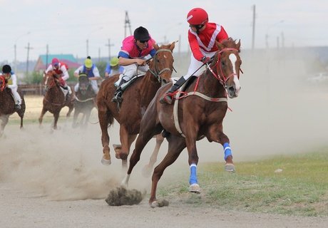 Кубок главы города по конному спорту