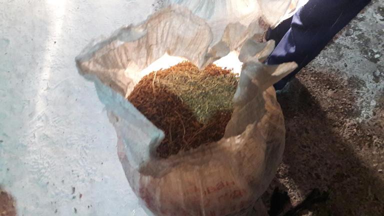 Четверых читинцев поймали с 26 кг марихуаны в Бурятии