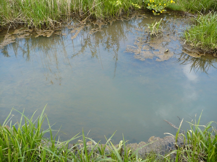 Нефтяные пятна на поверхности воды. Фото с сайта Читинского Гидрометцентра
